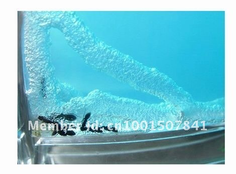 Развивающая игрушка