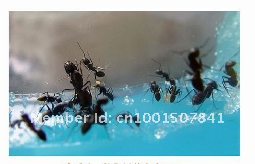 Развивающая игрушка