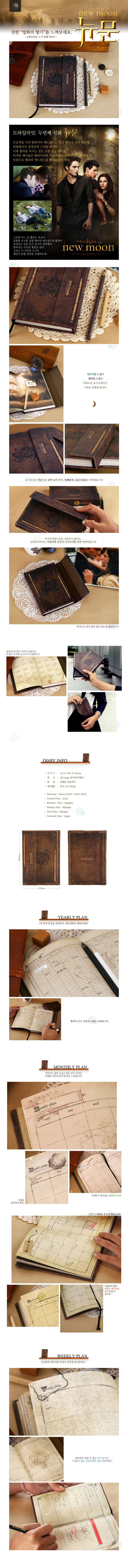 Старинный дневник