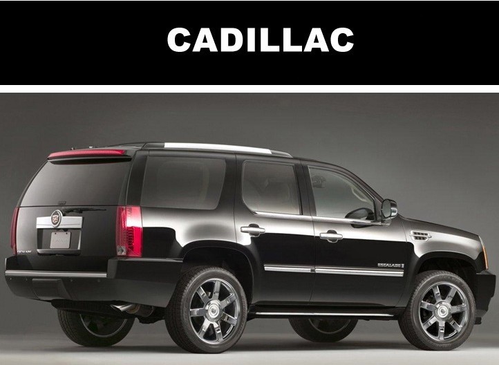 Rastar 28300 Cadillac Escalade 1:24 -  , 21 