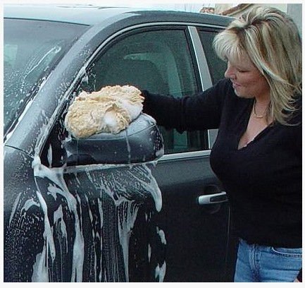 Рукавица для мойки из овечьей шерсти, 100% шерсть