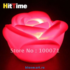 ������������ ����