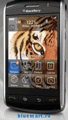 9530 Storm - мобильный телефон, 3.3