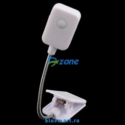 ������������ �����-��������� ��� ������ ����������� ����