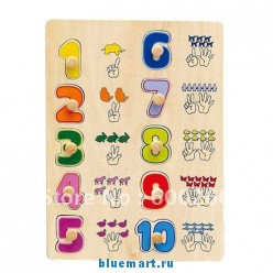 ����-�������� �����