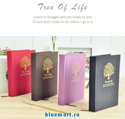 ���������� � ������ ���������