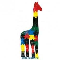 ���������� ���� �����, 26 �������