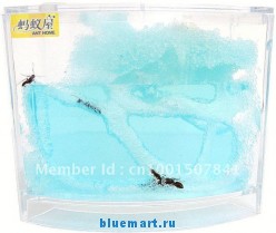 ����������� ������� 