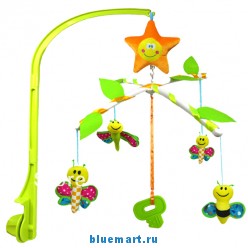 ����������� ��������-�������� �� ������� ��������