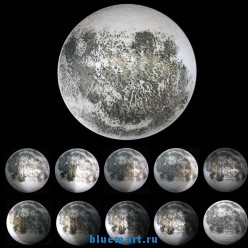 ������������ ������������� ����������-���� � ������������� �������