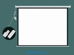 Проекционный моторизированный экран OLEY S-001 (100