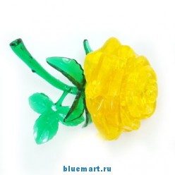 ������� ����� ����