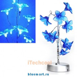 ������������ ���������� 